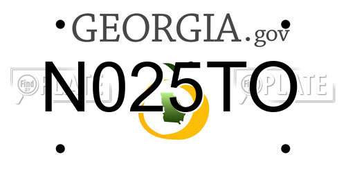 N025TO Georgia License Plate
