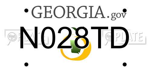 N028TD Georgia License Plate