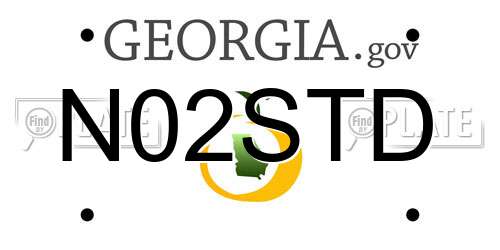 N02STD Georgia License Plate