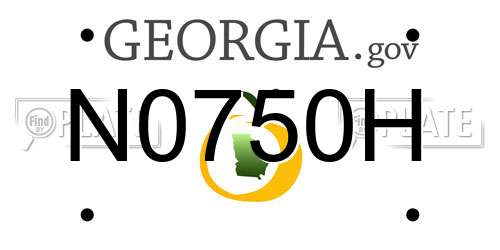 N0750H Georgia License Plate