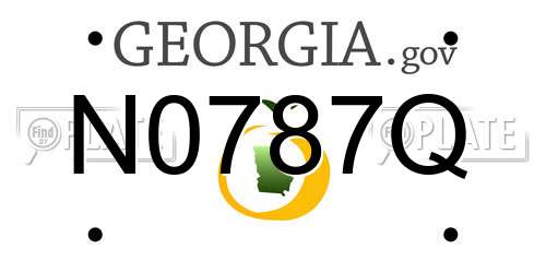N0787Q Georgia License Plate