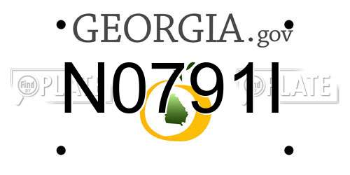 N0791I Georgia License Plate