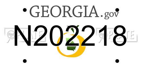 N202218 Georgia License Plate