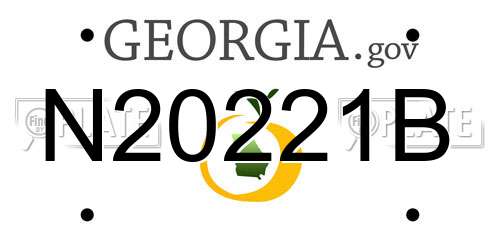 N20221B Georgia License Plate