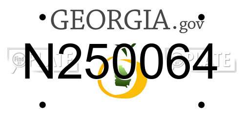 N250064 Georgia License Plate