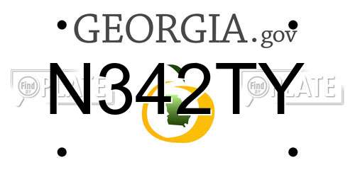 N342TY Georgia License Plate