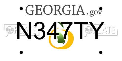 N347TY Georgia License Plate
