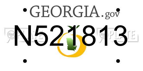 N521813 Georgia License Plate