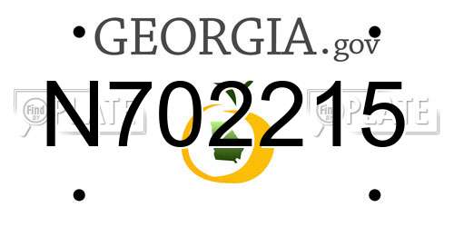N702215 Georgia License Plate