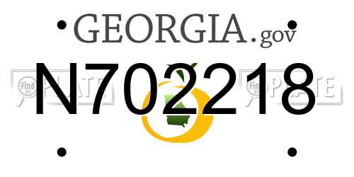 N702218 Georgia License Plate