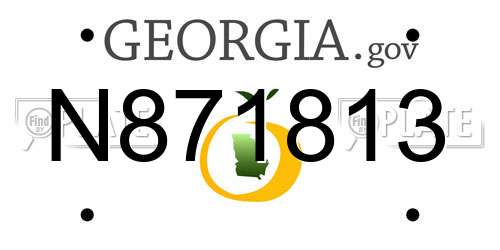 N871813 Georgia License Plate