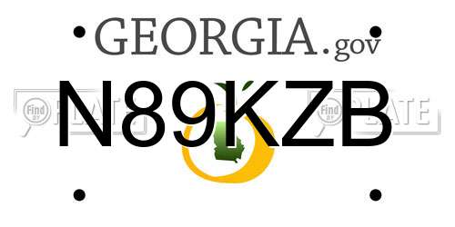 N89KZB Georgia License Plate