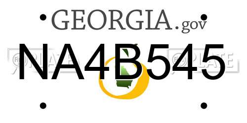NA4B545 Georgia License Plate
