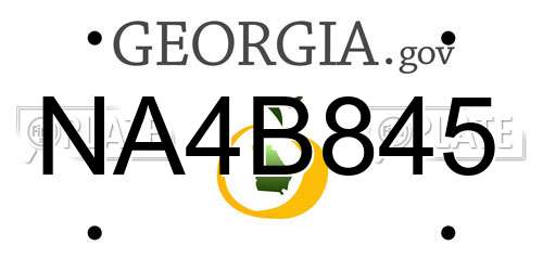 NA4B845 Georgia License Plate