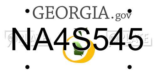 NA4S545 Georgia License Plate
