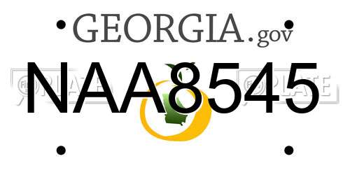 NAA8545 Georgia License Plate