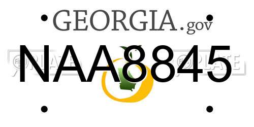 NAA8845 Georgia License Plate
