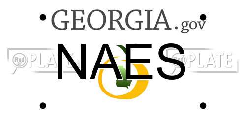 NAES Georgia License Plate