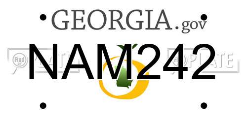 NAM242 Georgia License Plate