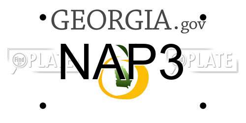 NAP3 Georgia License Plate