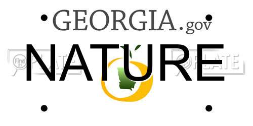 NATURE Georgia License Plate
