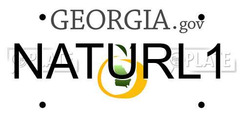 NATURL1 Georgia License Plate
