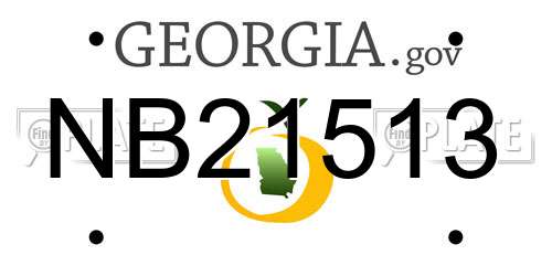 NB21513 Georgia License Plate