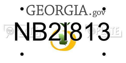 NB2I813 Georgia License Plate