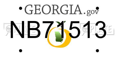 NB71513 Georgia License Plate