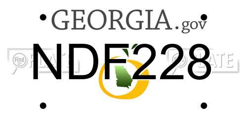 NDF228 Georgia License Plate