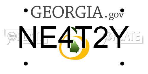 NE4T2Y Georgia License Plate
