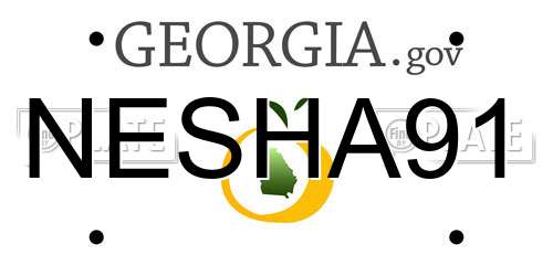 NESHA91 Georgia License Plate