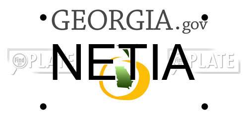NETIA Georgia License Plate