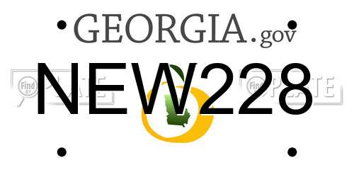 NEW228 Georgia License Plate