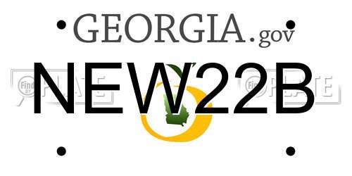NEW22B Georgia License Plate