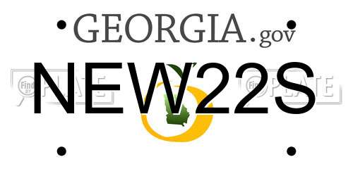 NEW22S Georgia License Plate