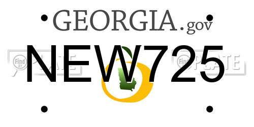 NEW725 Georgia License Plate
