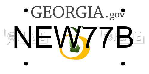 NEW77B Georgia License Plate