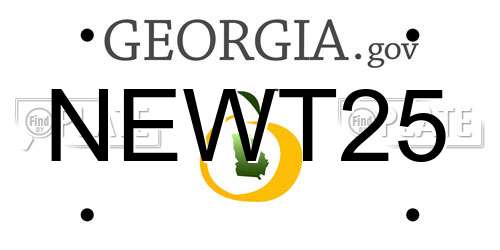 NEWT25 Georgia License Plate