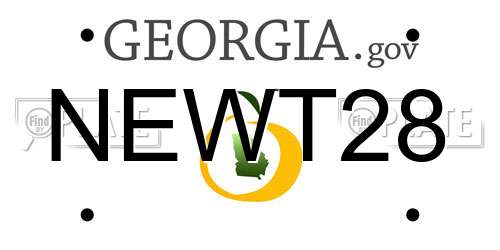 NEWT28 Georgia License Plate