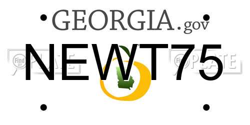 NEWT75 Georgia License Plate