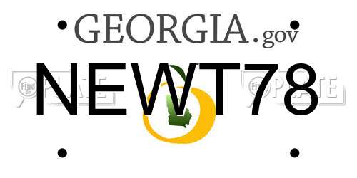 NEWT78 Georgia License Plate