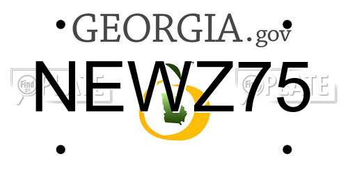 NEWZ75 Georgia License Plate