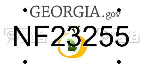 NF23255 Georgia License Plate