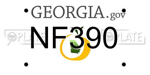 NF390 Georgia License Plate