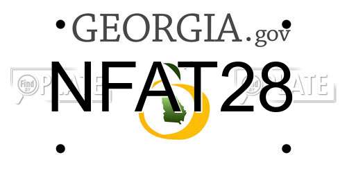 NFAT28 Georgia License Plate
