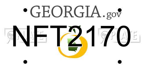 NFT2170 Georgia License Plate