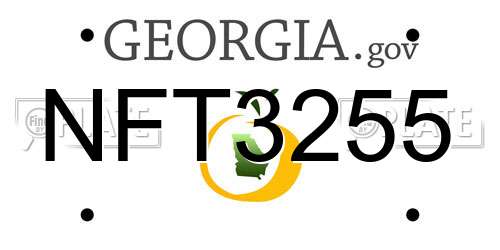 NFT3255 Georgia License Plate