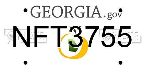 NFT3755 Georgia License Plate