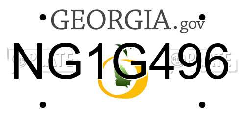 NG1G496 Georgia License Plate